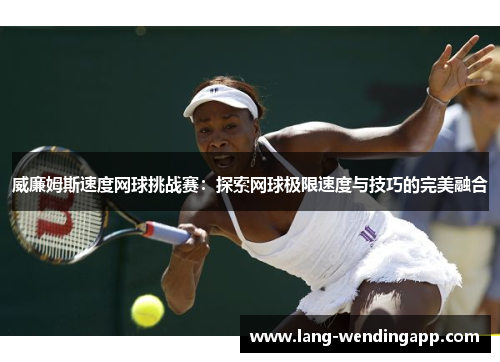 威廉姆斯速度网球挑战赛：探索网球极限速度与技巧的完美融合
