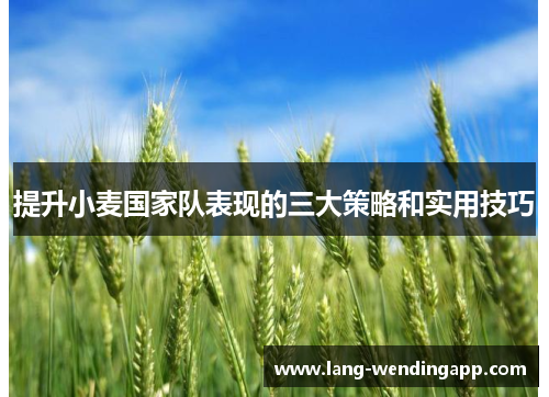 提升小麦国家队表现的三大策略和实用技巧