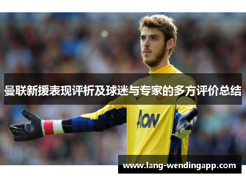 曼联新援表现评析及球迷与专家的多方评价总结